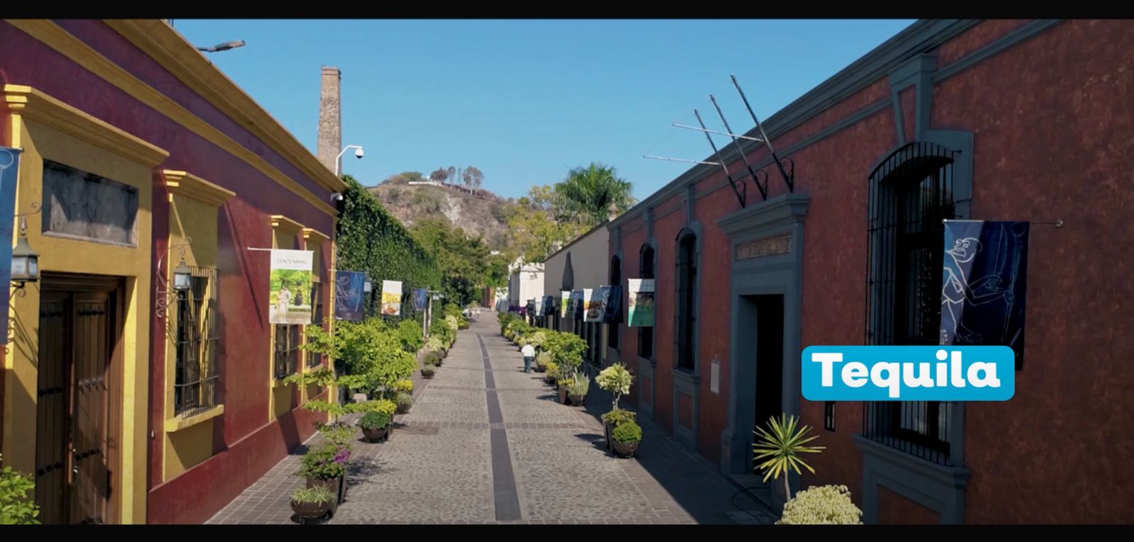 Cargar video: 